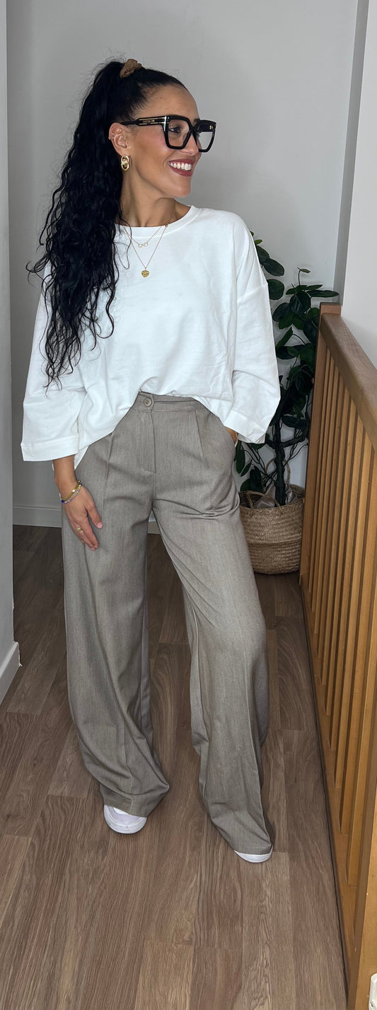 Pantalon tailleurs Taupe